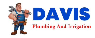 Trusted plumber in VERDI